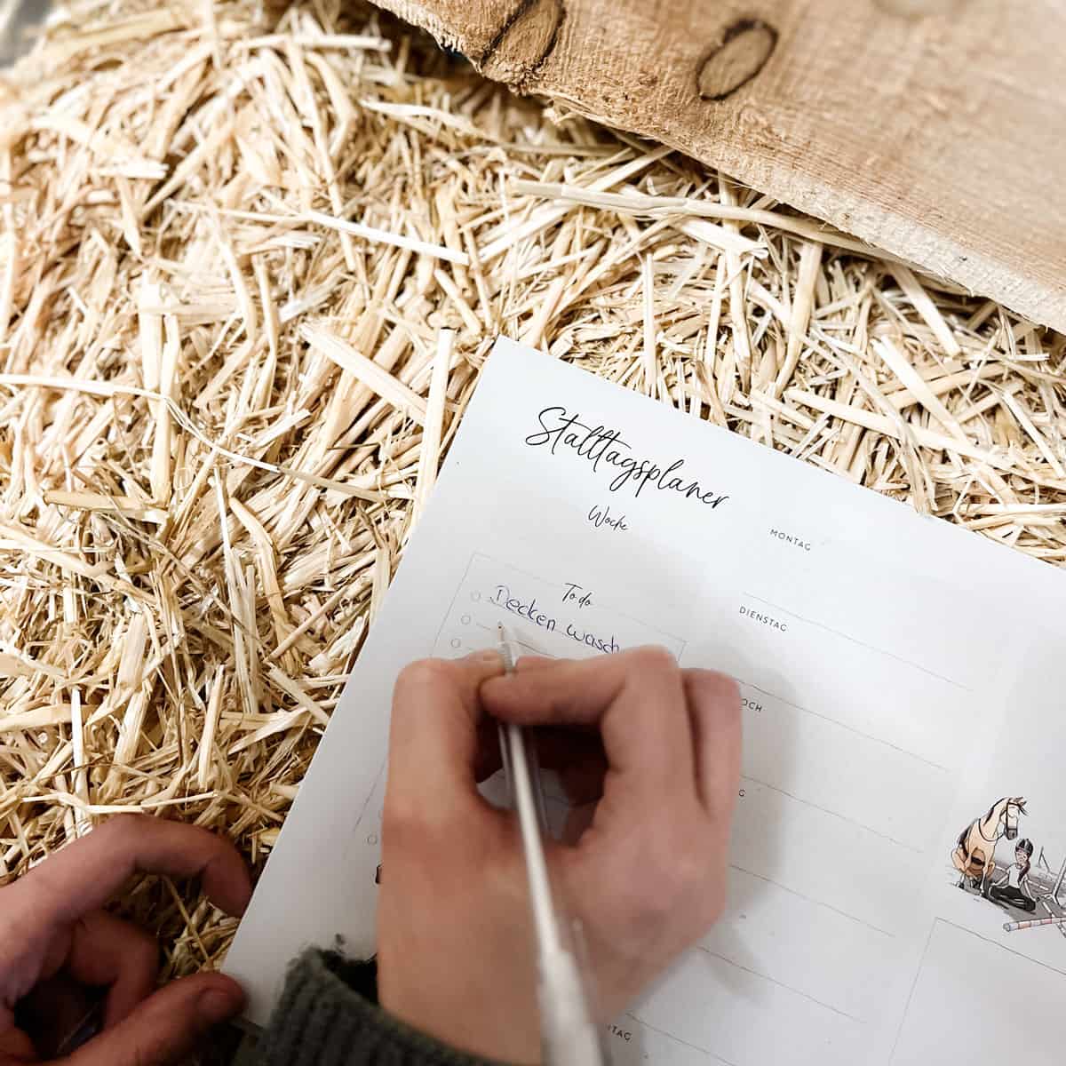 Stalltagsplaner | Druckvorlage
