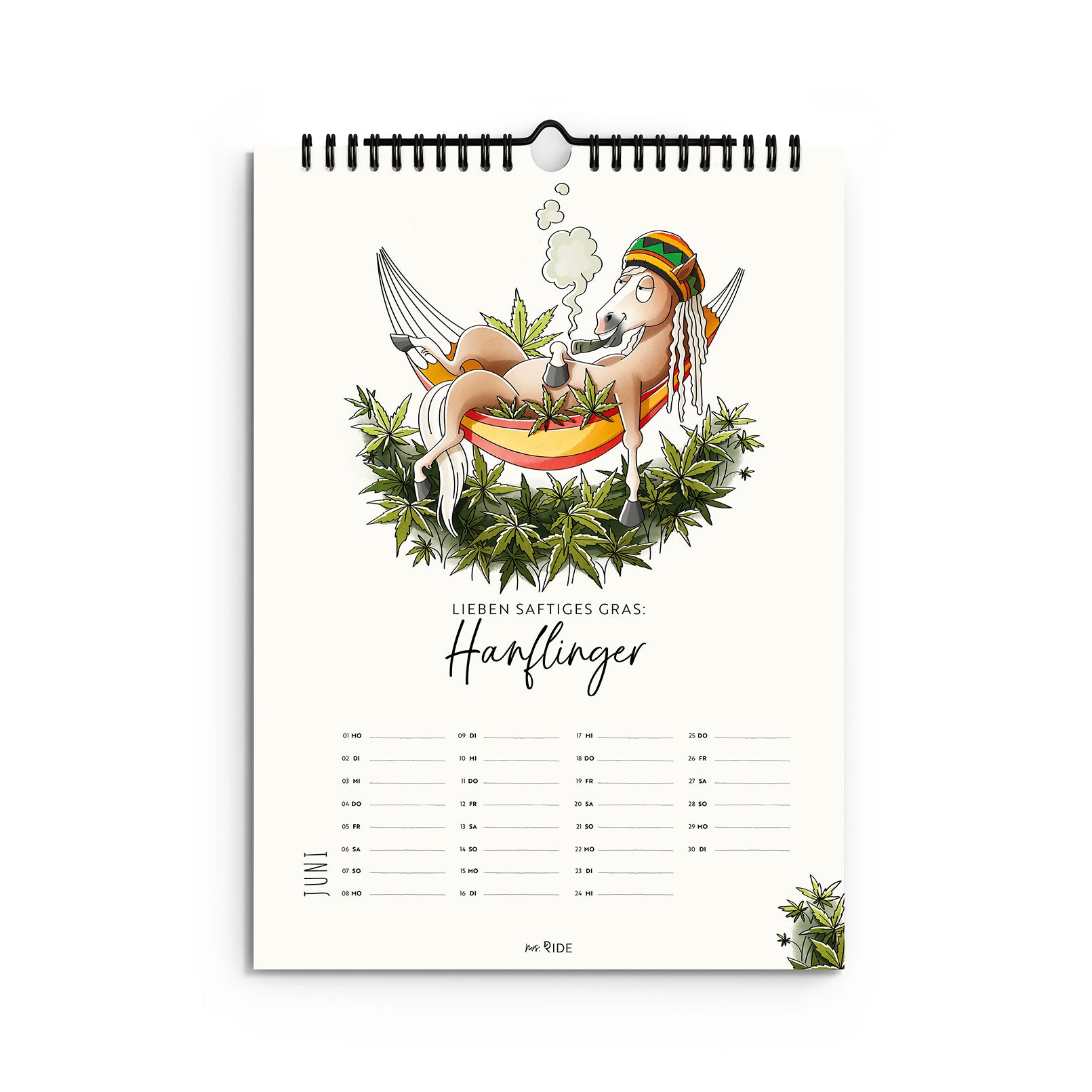 Haflinger Kalender 2026