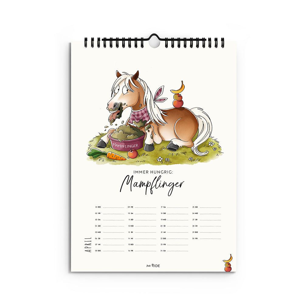 Pferderassen Kalender 2027