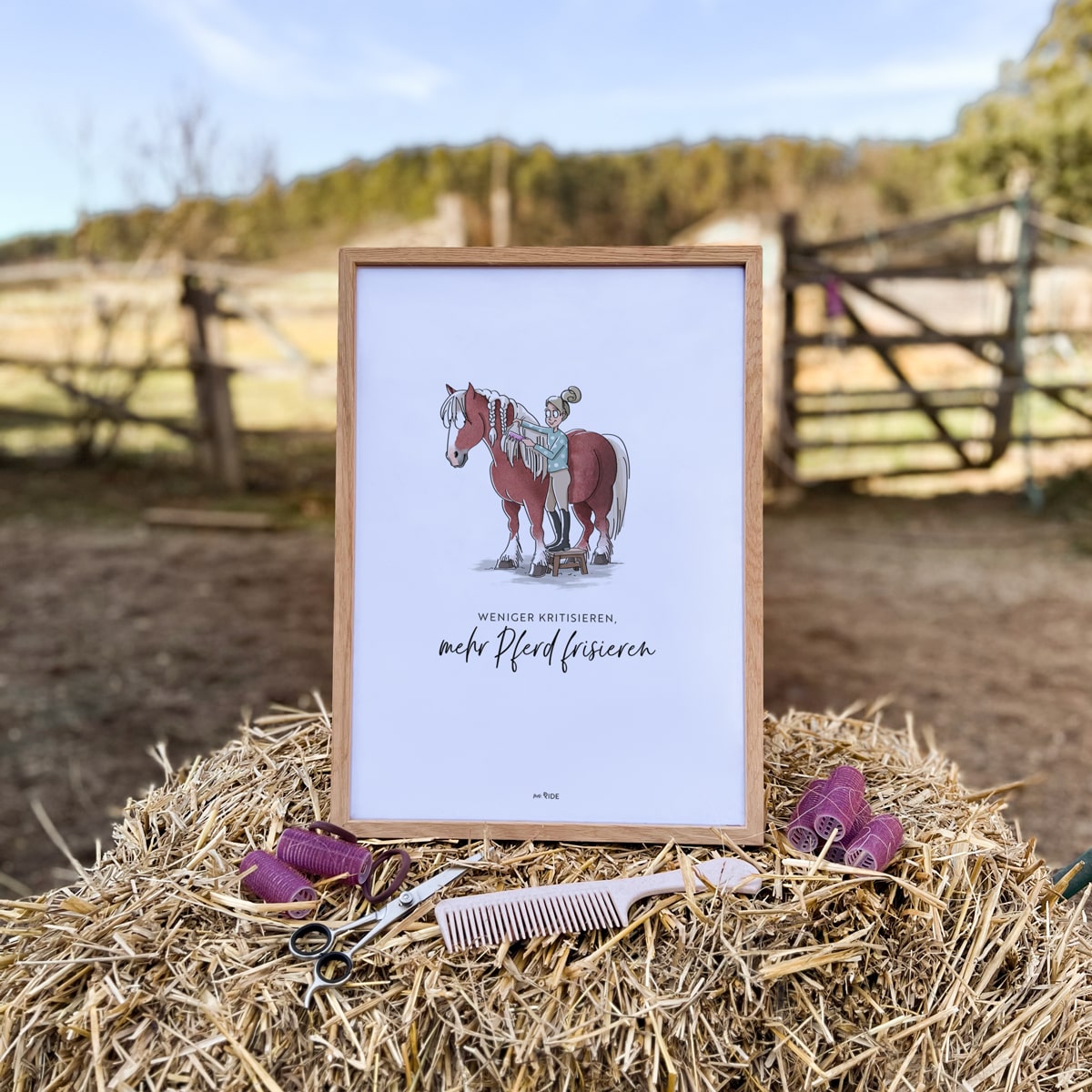 Poster "Weniger kritisieren, mehr Pferd frisieren"