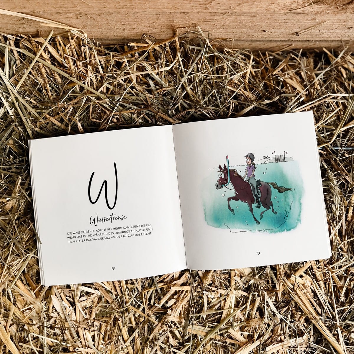 Bundle | 2x Stallphabet