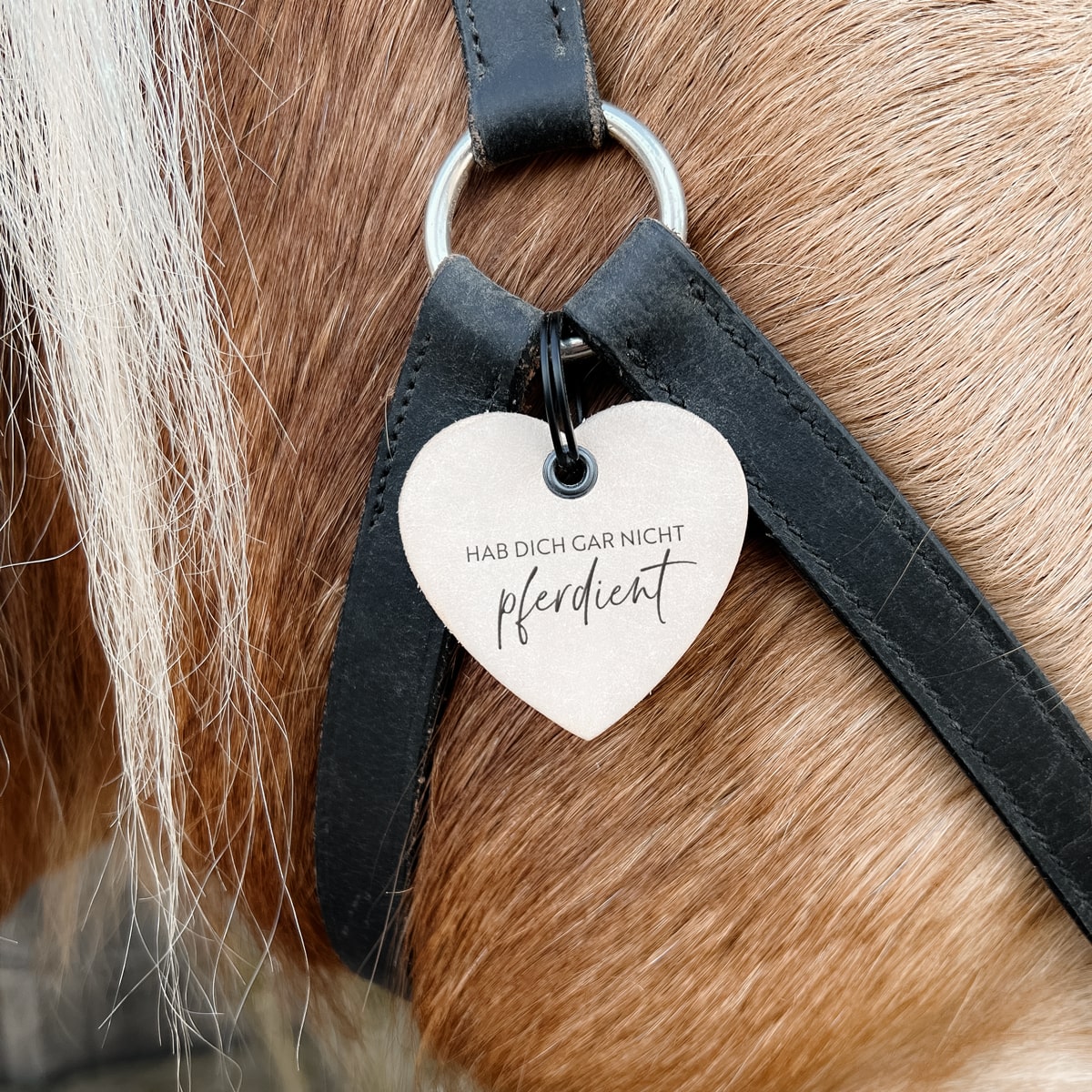Lederanhänger "Hab dich gar nicht pferdient"
