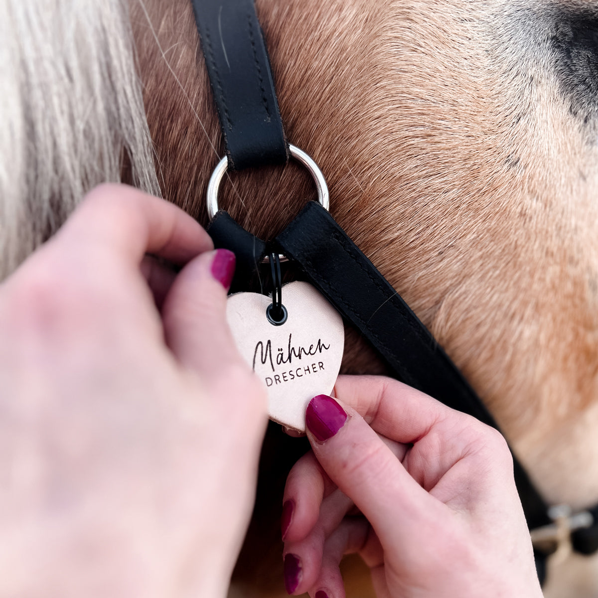 Lederanhänger "Mähnendrescher"