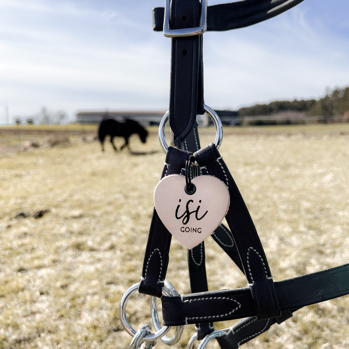 Lederanhänger "isi going"