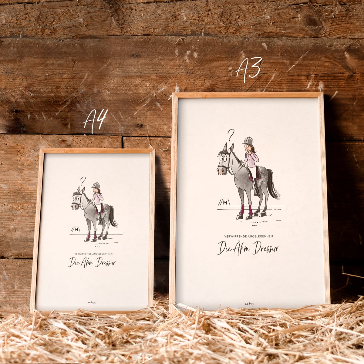 Poster "Ähm-Dressur"