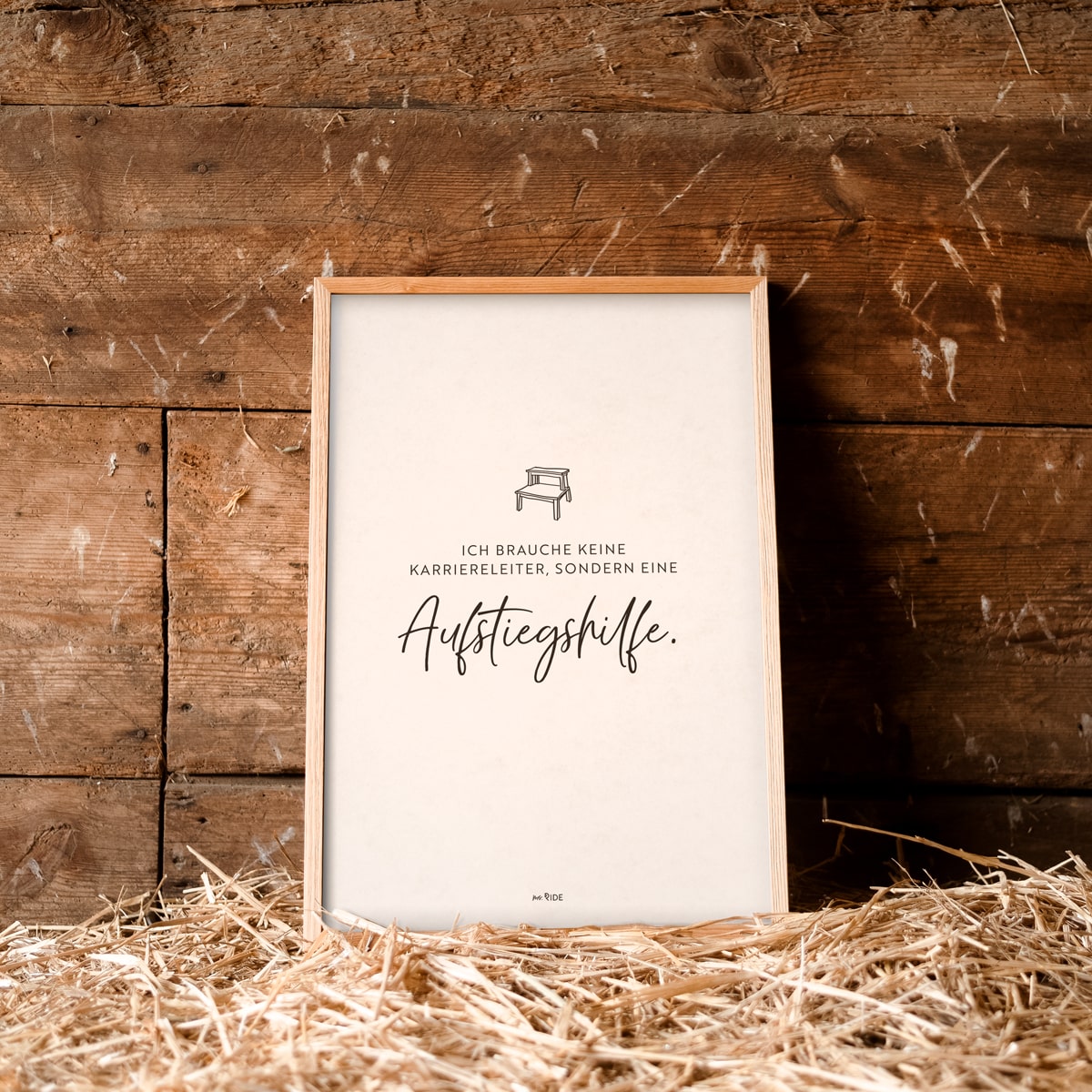 Poster "Aufstiegshilfe"