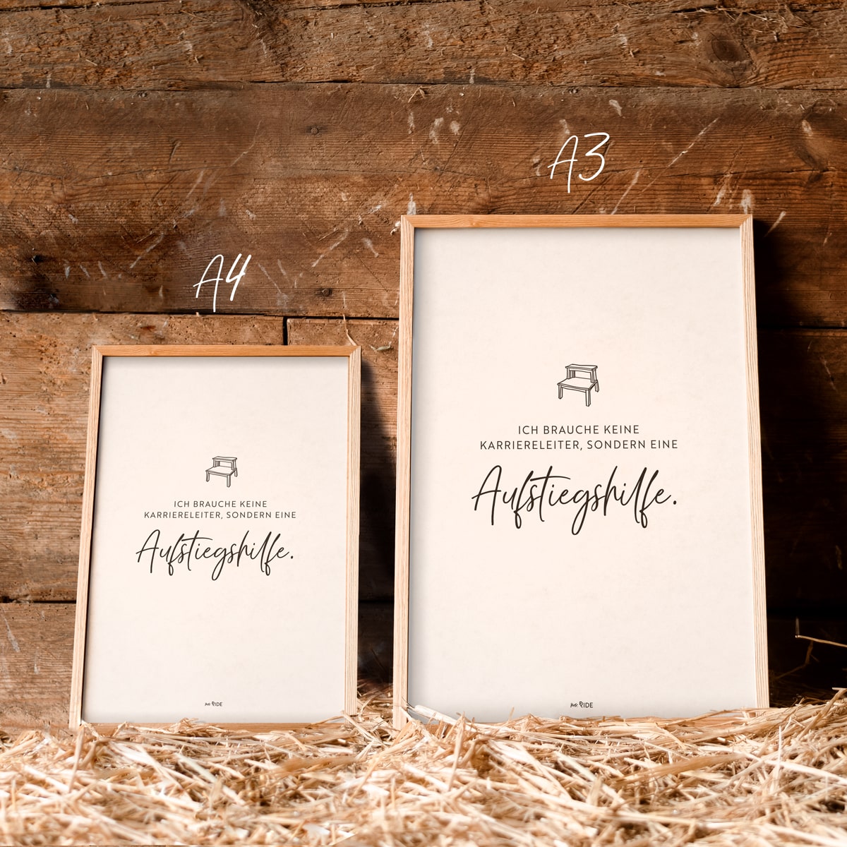 Poster "Aufstiegshilfe"