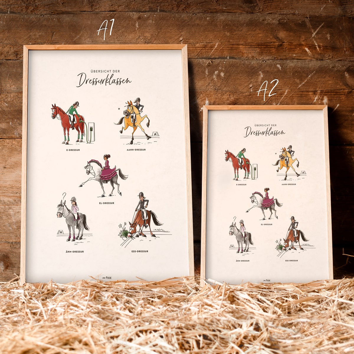 Poster "Dressurklassen"