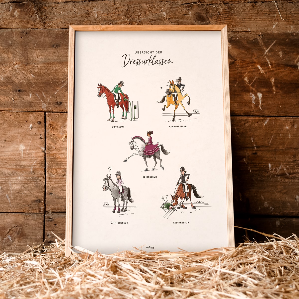 Poster "Dressurklassen"