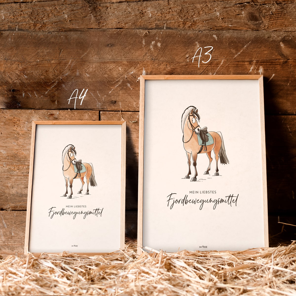Poster "Fjordbewegungsmittel"