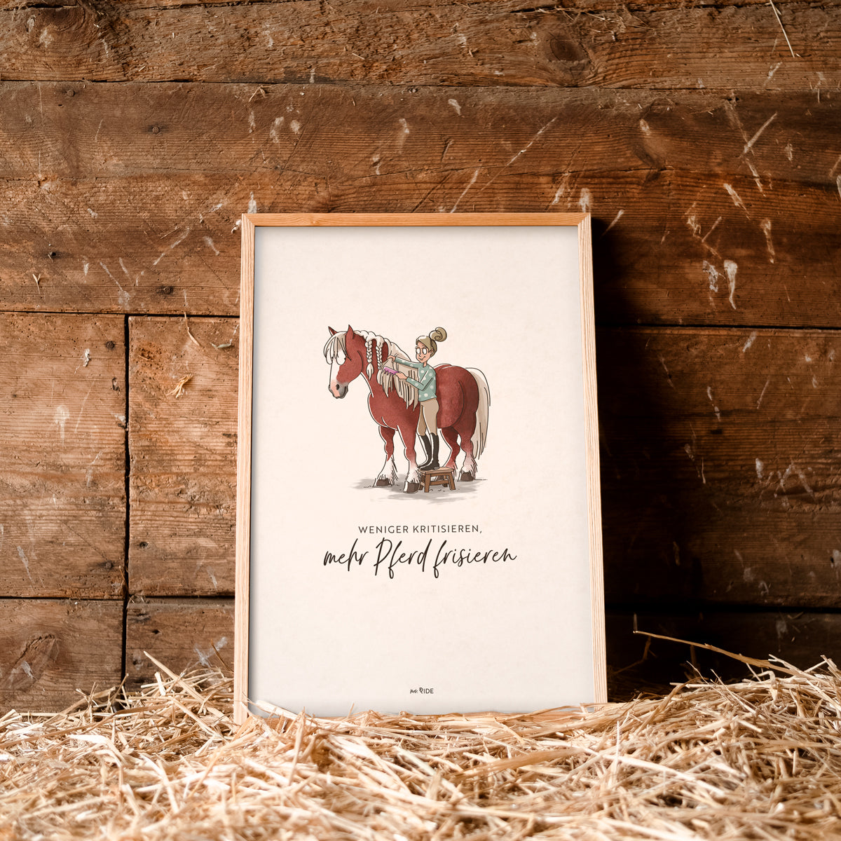 Poster "Weniger kritisieren, mehr Pferd frisieren"