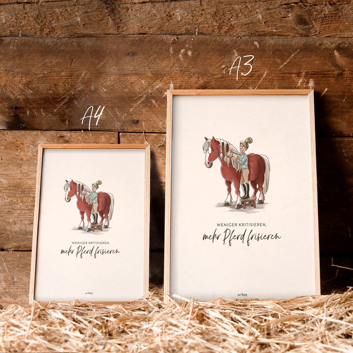 Poster "Weniger kritisieren, mehr Pferd frisieren"