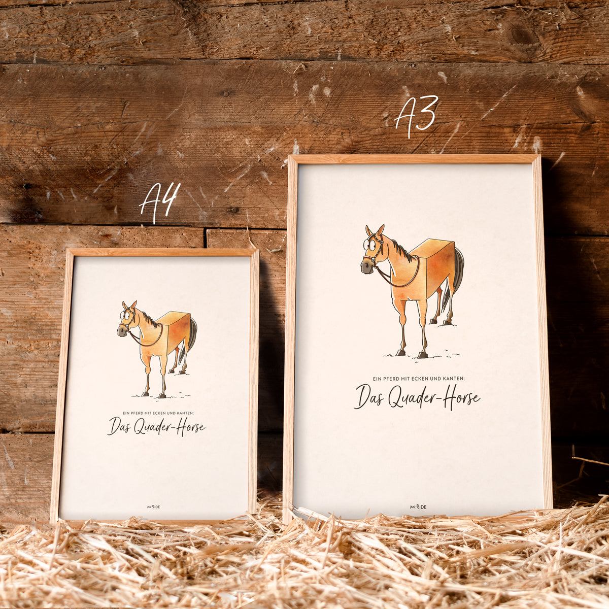 Poster "Quader-Horse"