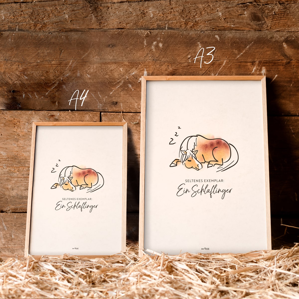 Poster "Schlaflinger"