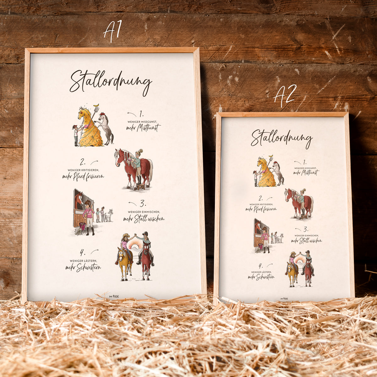 Poster "Stallordnung"